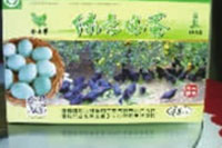 aoa综合,油茶莳植生产加工销售,植物油莳植生产加工销售