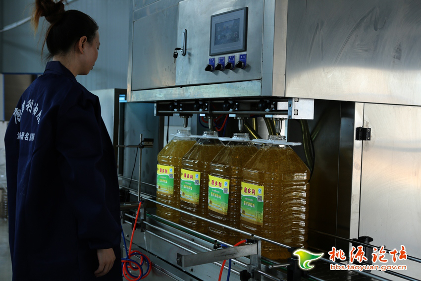 aoa综合,油茶莳植生产加工销售,植物油莳植生产加工销售