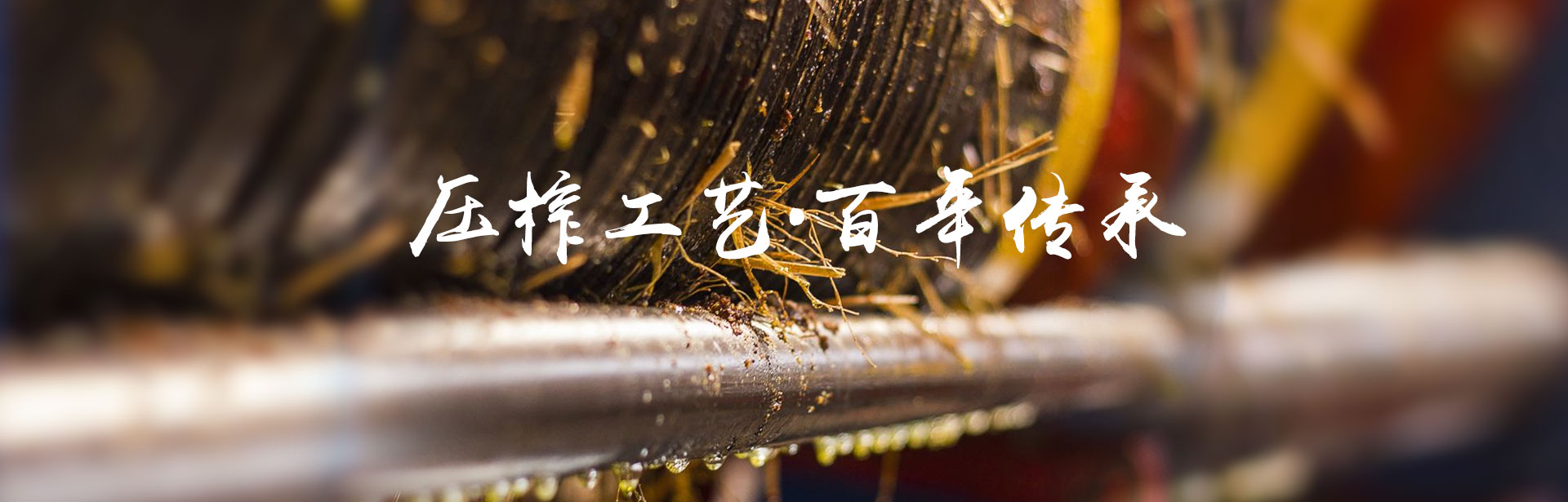 aoa综合_油茶莳植生产加工销售|植物油莳植生产加工销售