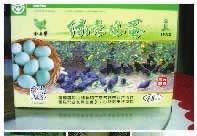 aoa综合,油茶莳植生产加工销售,植物油莳植生产加工销售